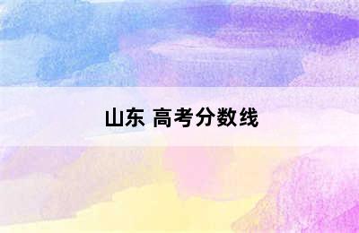 山东 高考分数线